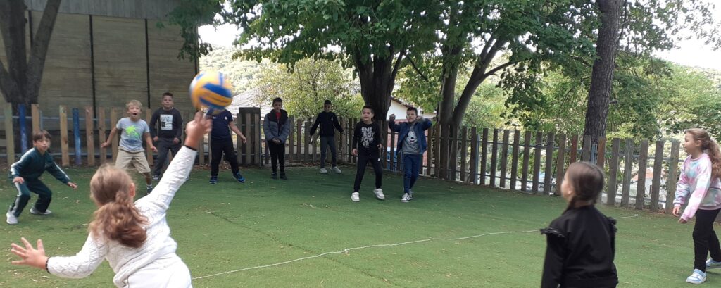 561506196 1359682079493333 144286290260888193 n