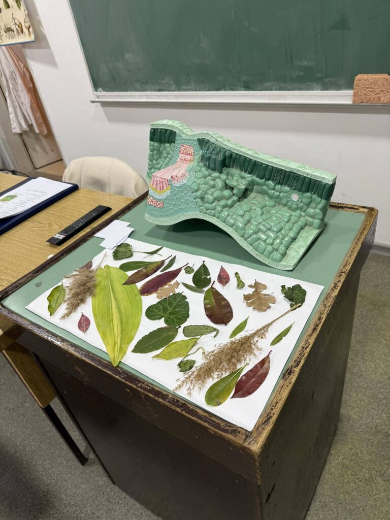 630085796 1461602199301320 2254959748145784826 n