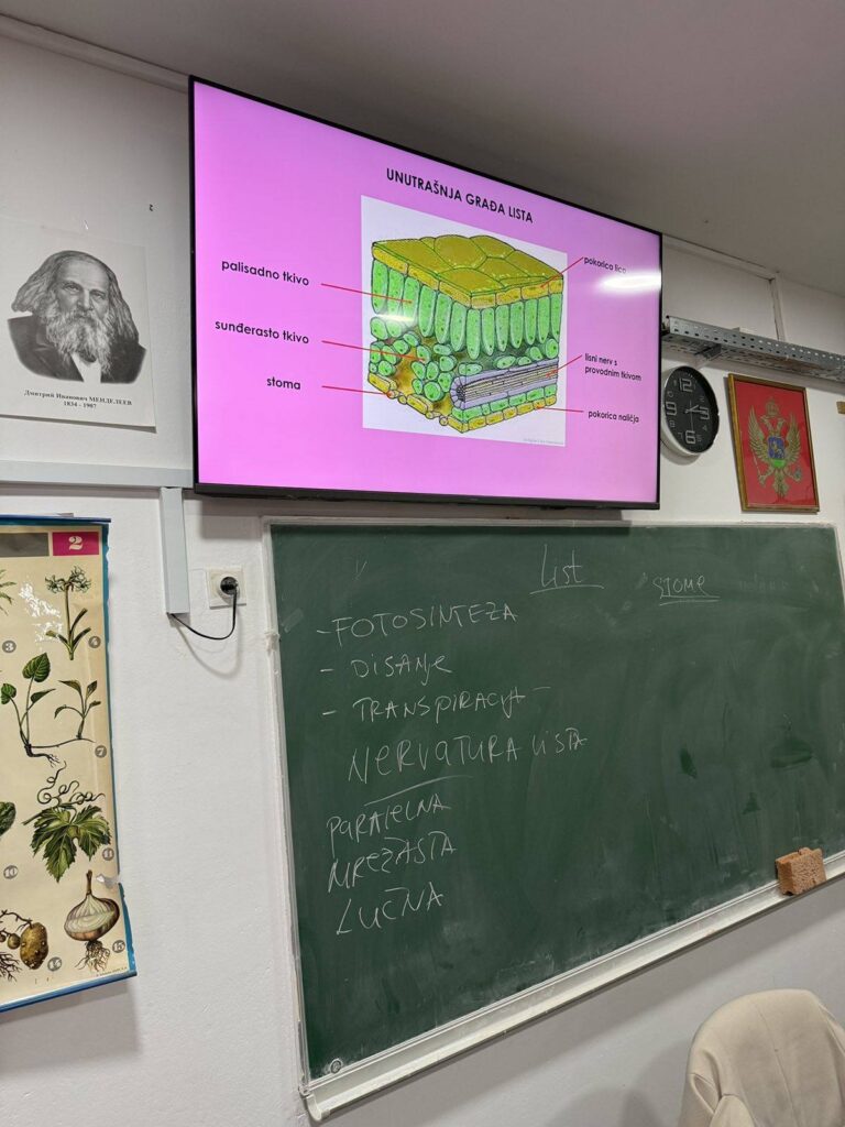 630173751 1461602452634628 8894265049289437200 n