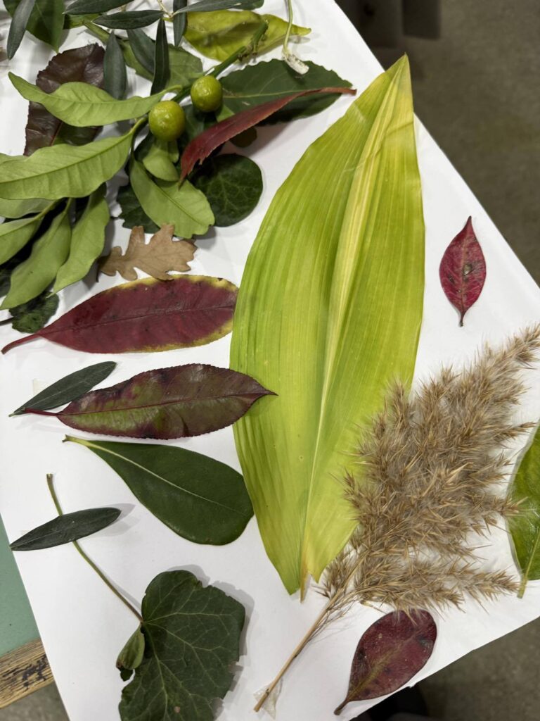 630281294 1461602495967957 7669606334822095324 n