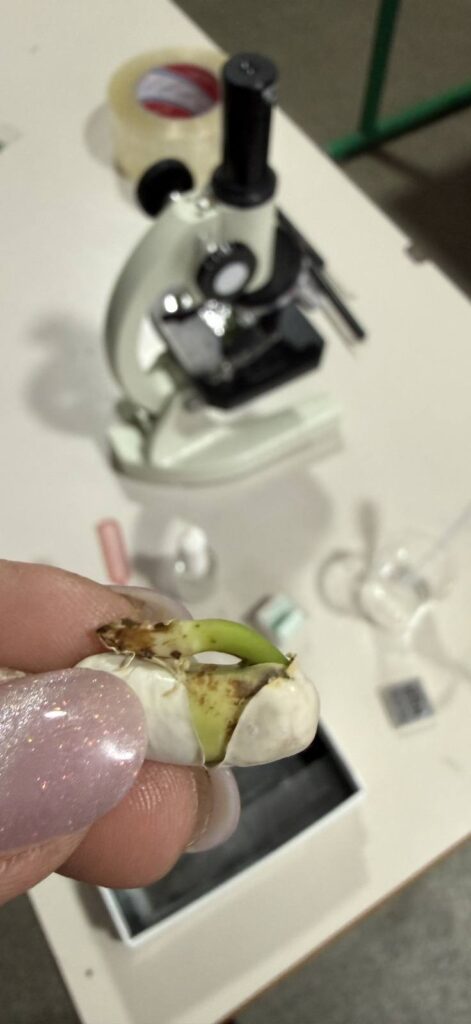 630374148 1461601965968010 1800405198375051444 n