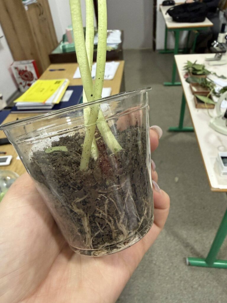 630543466 1461601785968028 1730035603203275833 n