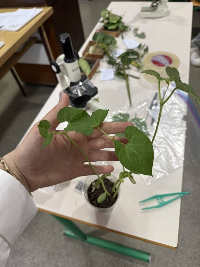 630636232 1461601735968033 2093407818515202614 n