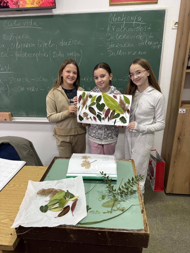 630763142 1461601632634710 7050368412008173988 n