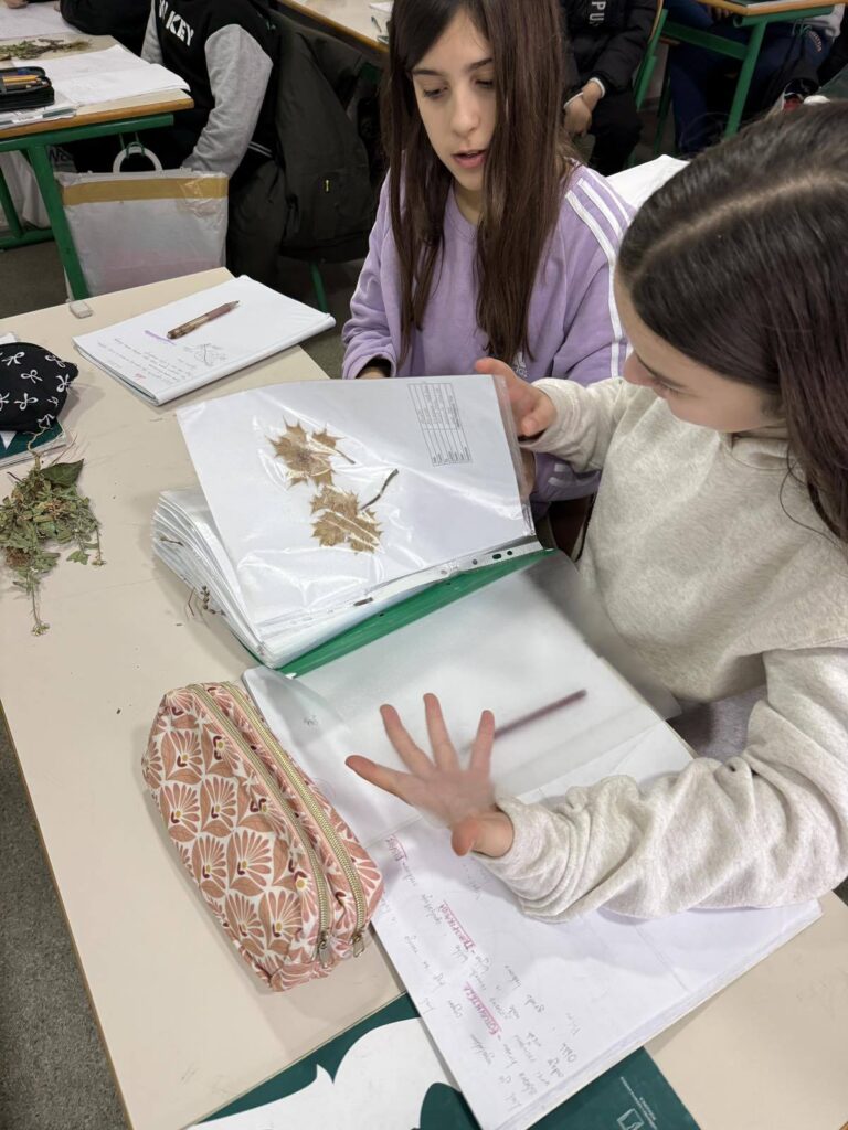 630983837 1461601682634705 8849260345952109367 n