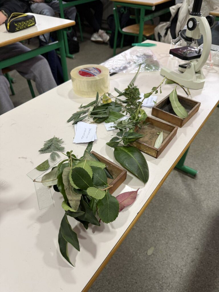 631254637 1461602009301339 7803490394203419142 n