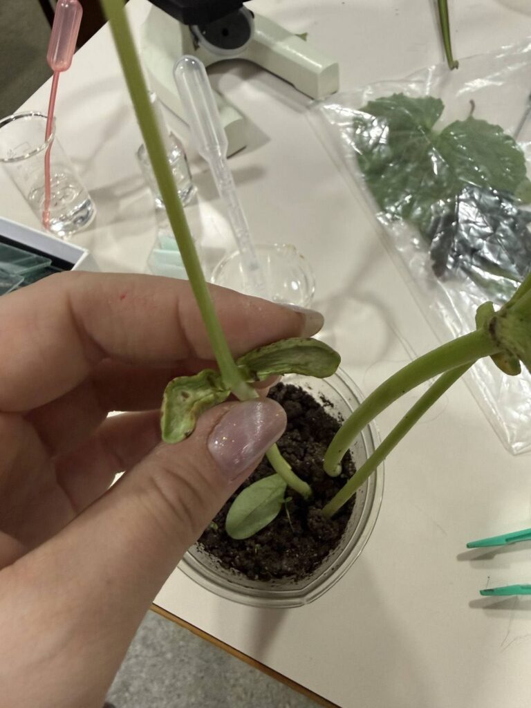 631778687 1461601832634690 4451976879686147831 n