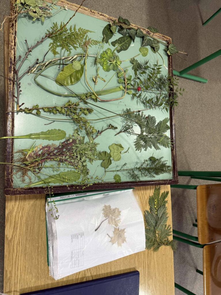 631867322 1461602849301255 7067115340400208885 n