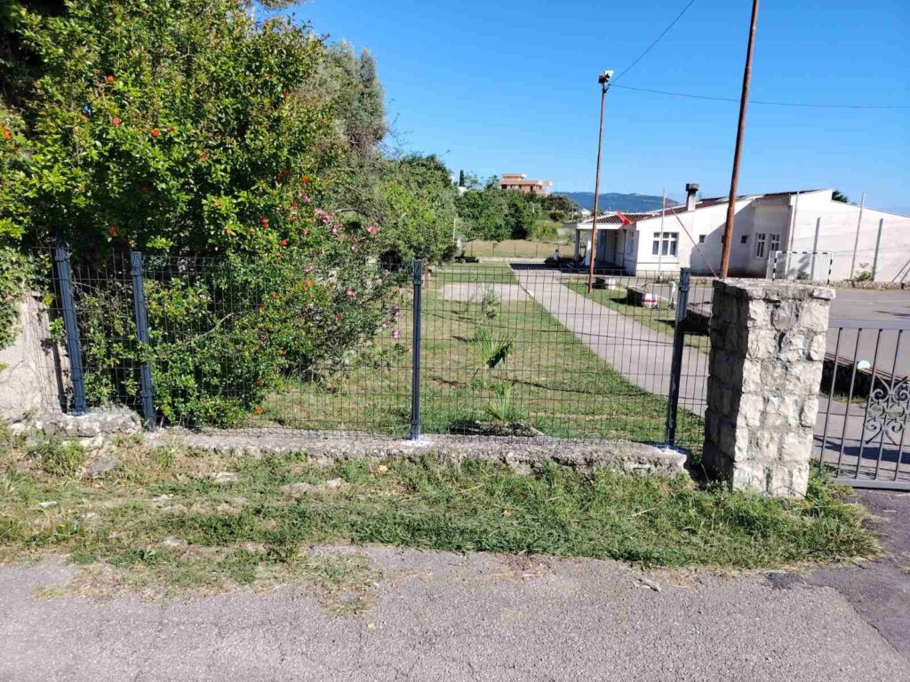 503612622 1243904037737805 8900429865571027038 n