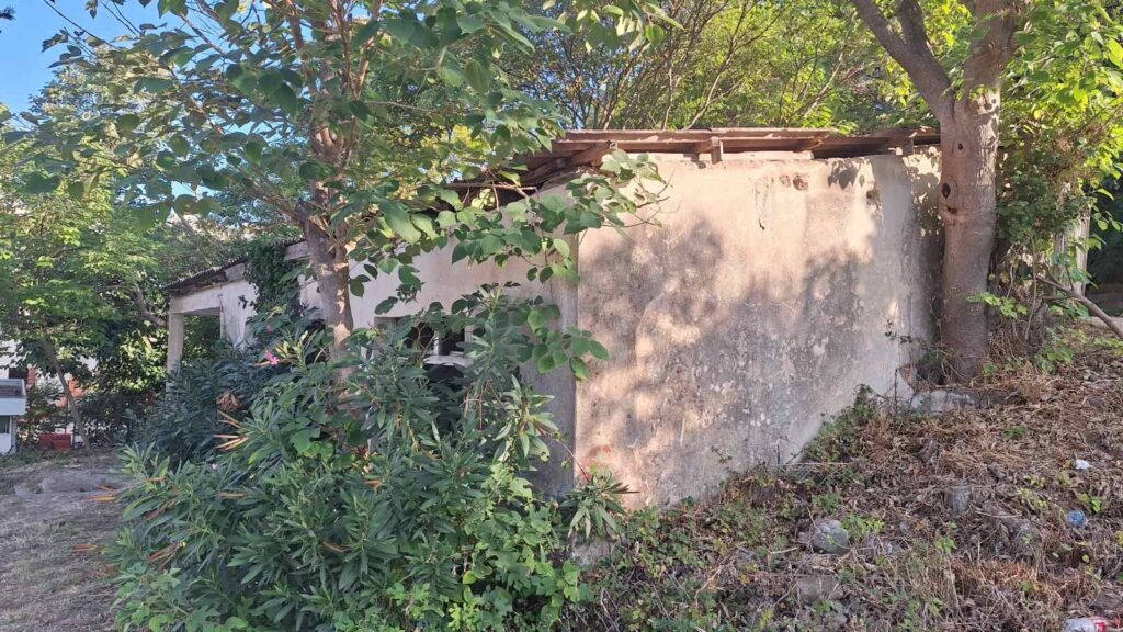 544710243 1327242426070632 9167551639601212088 n