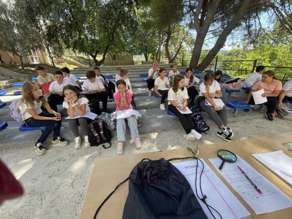 546411182 1335240418604166 3906344803512193236 n