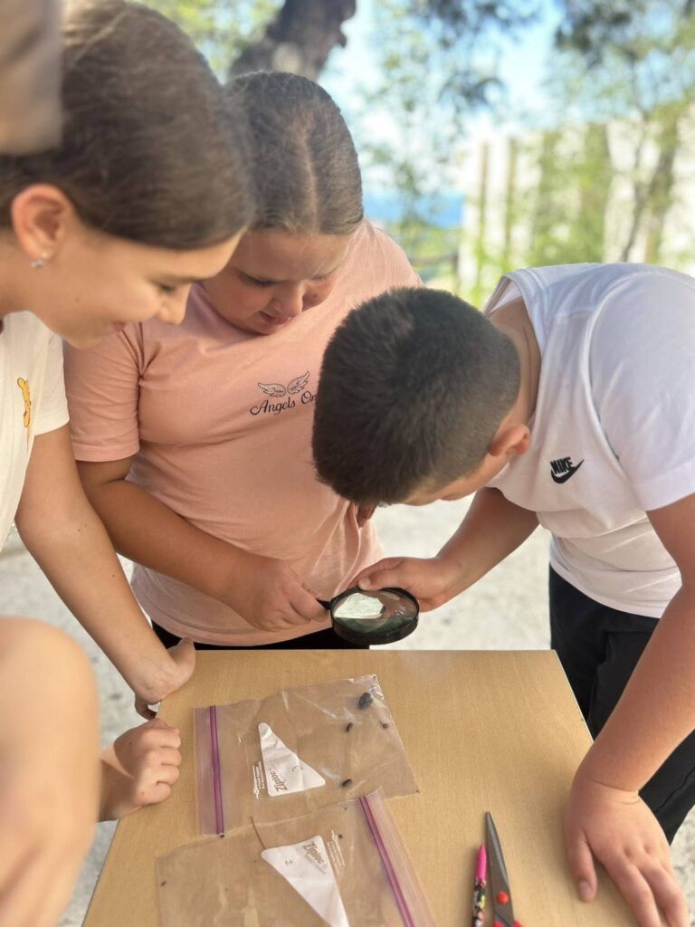 547076923 1335240581937483 3611257632799223348 n