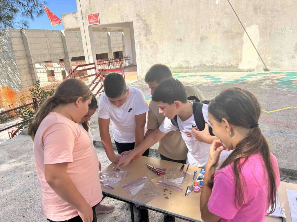 547259178 1335240671937474 5905682070417774987 n