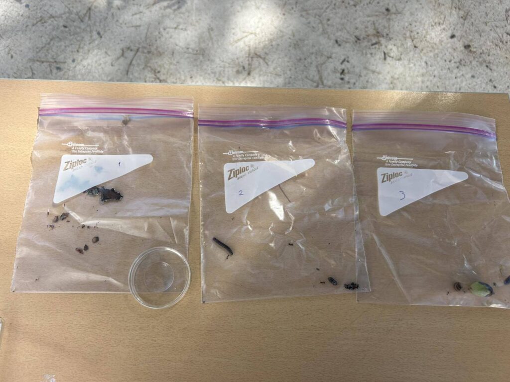 547373021 1335240841937457 1747616254579968078 n