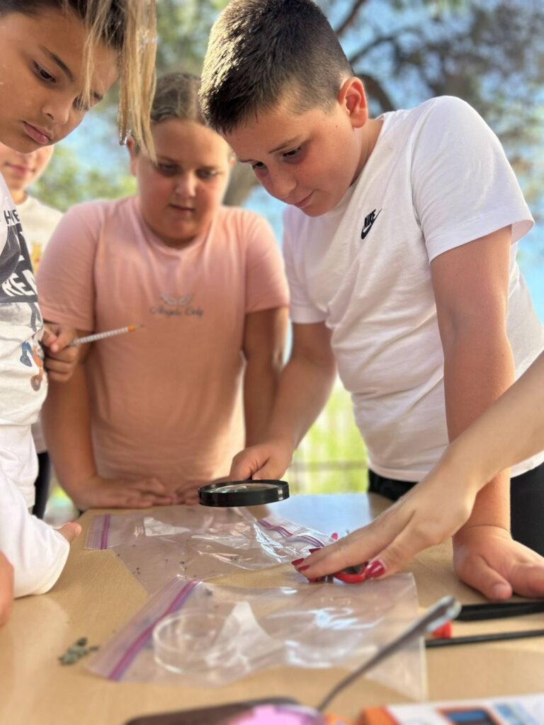 547559456 1335240628604145 4898729362687018602 n