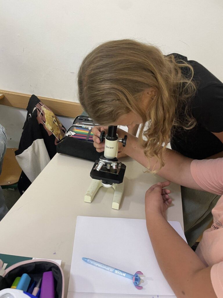 548034428 1340935434701331 7839499017268827597 n