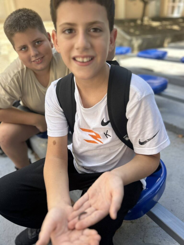 548067530 1335240548604153 5703279998241414366 n