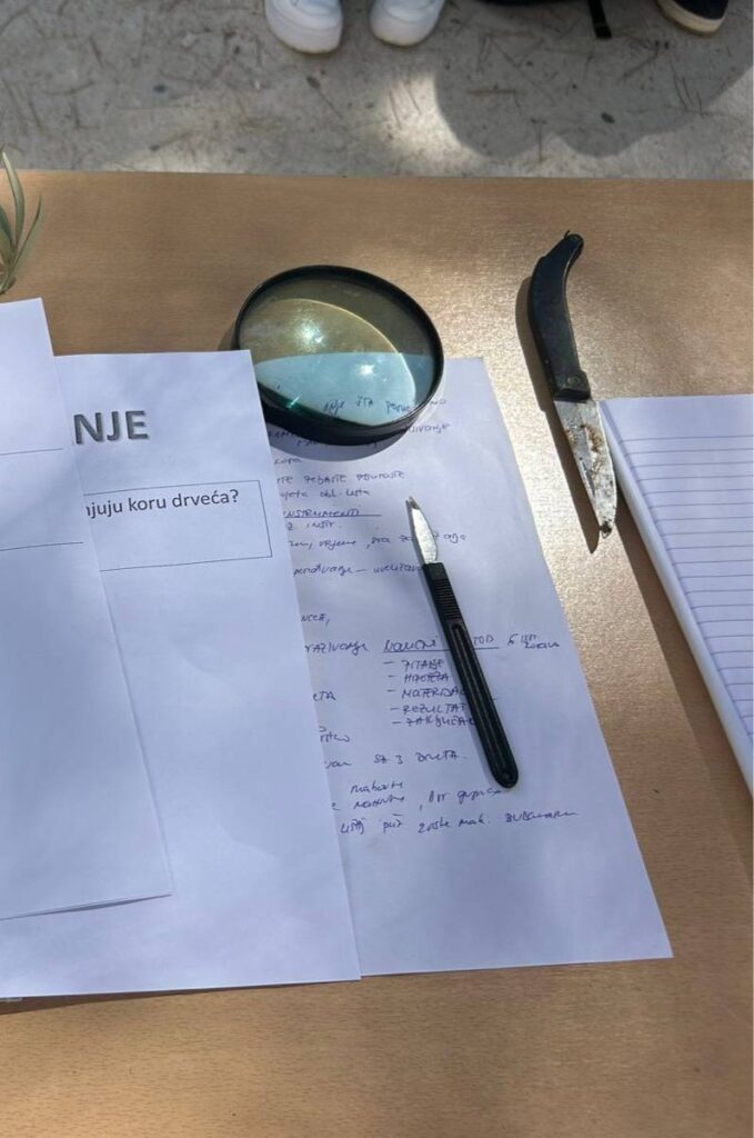 548615625 1335240798604128 7713530462958170423 n