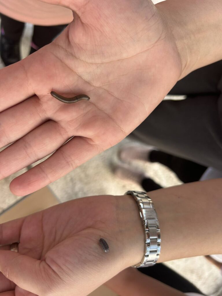 549041778 1335240508604157 4562009281249365400 n