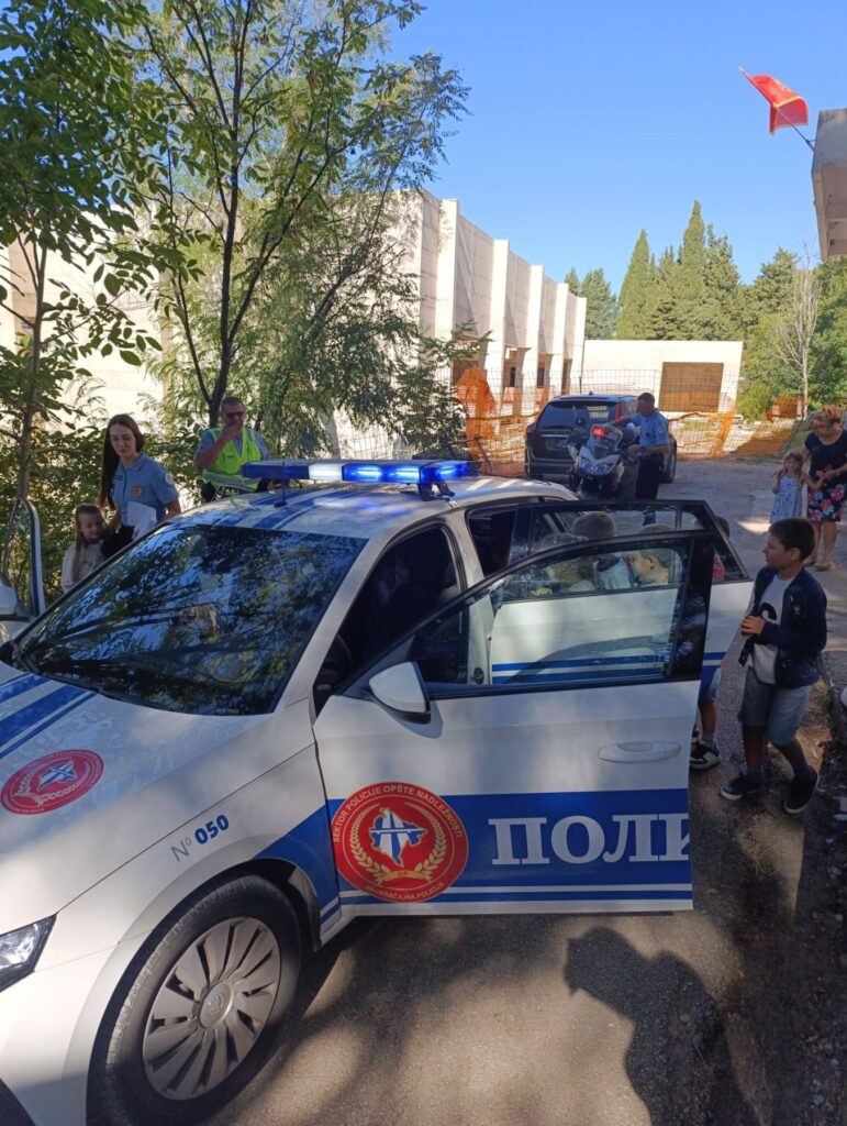 549170588 1338690588259149 8913675777404904279 n