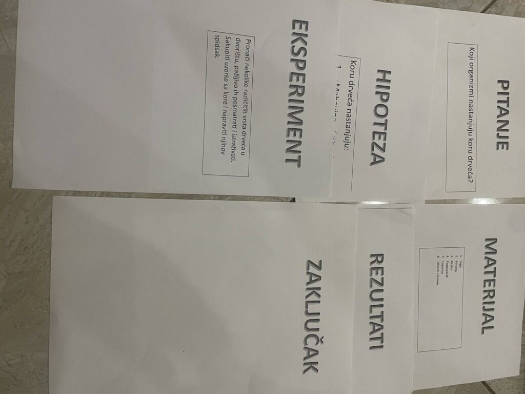 549551536 1335240878604120 757491861407123327 n