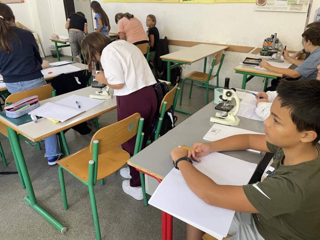 550367053 1340935628034645 6909550894623202659 n