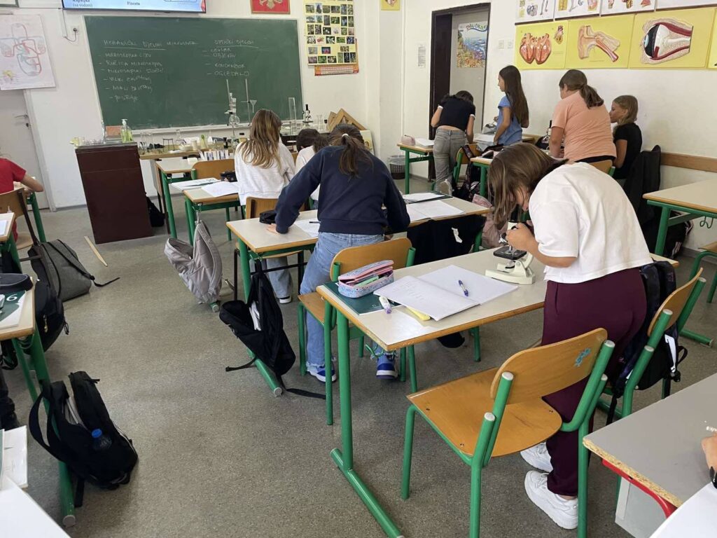 550396820 1340935658034642 6896508032058961904 n