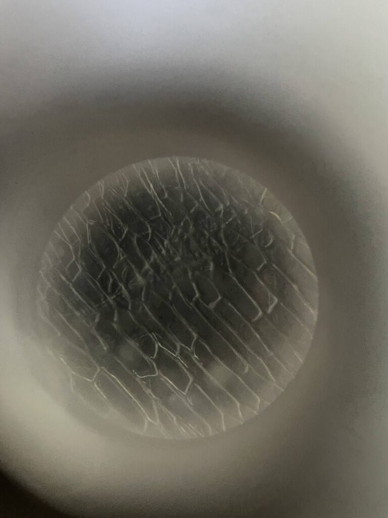 552150982 1340935931367948 7396076036175377275 n