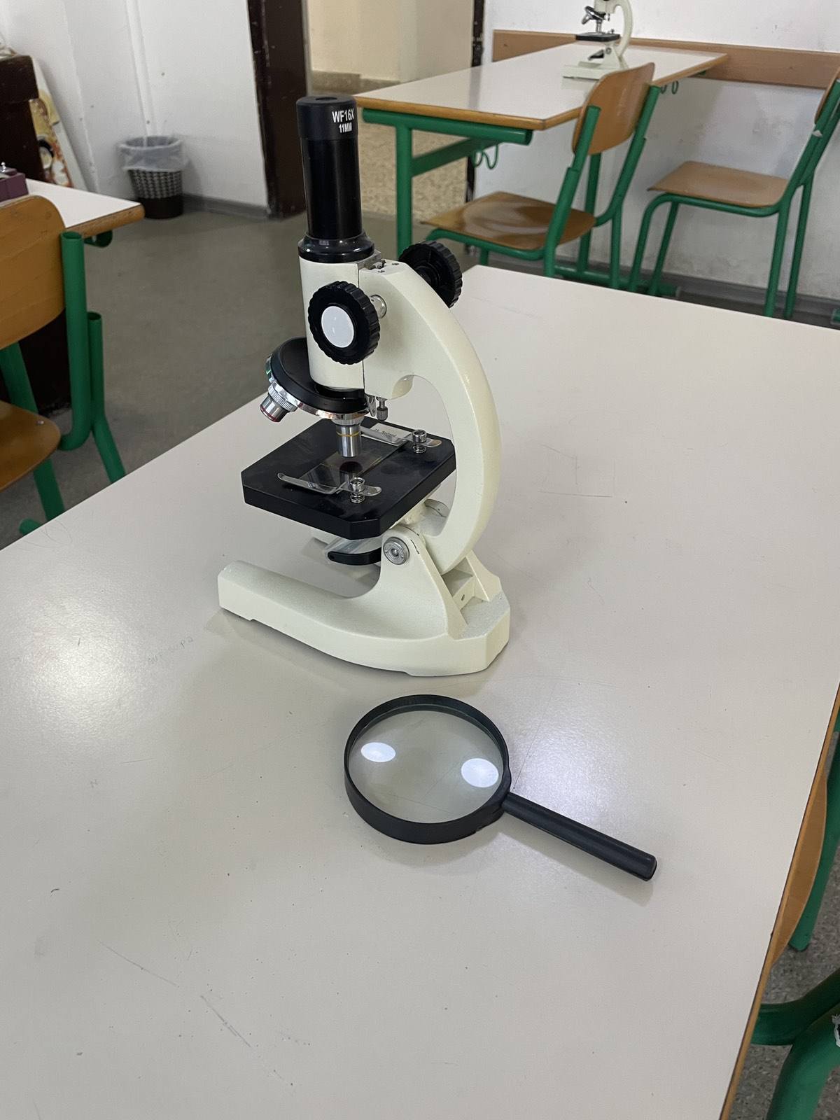 552590903 1340936044701270 8442871966434665479 n