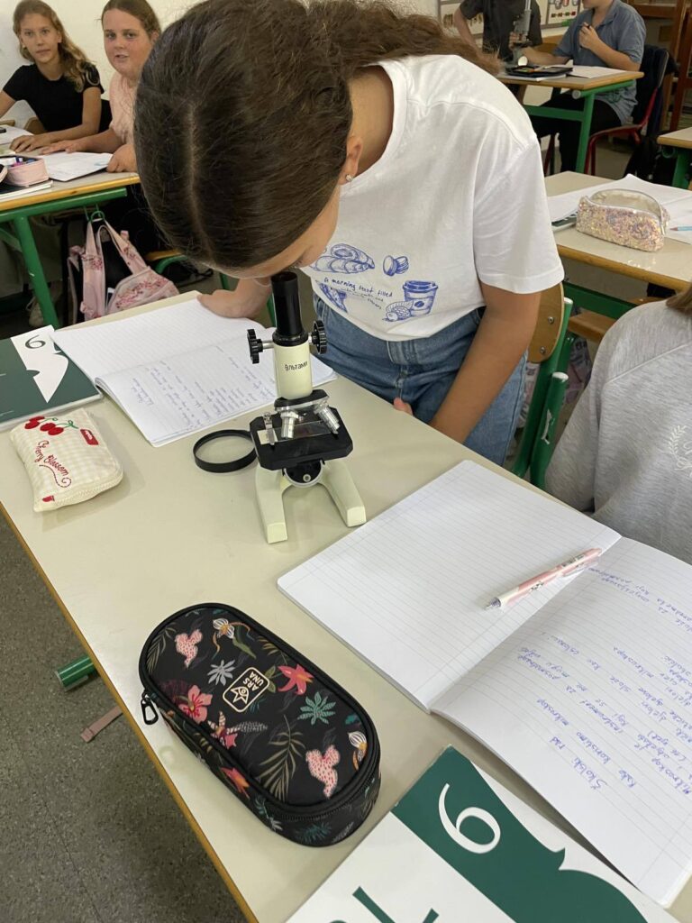 552957125 1340935528034655 54703893344585381 n