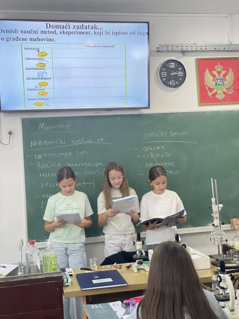 554102015 1340935854701289 7557965340474670054 n