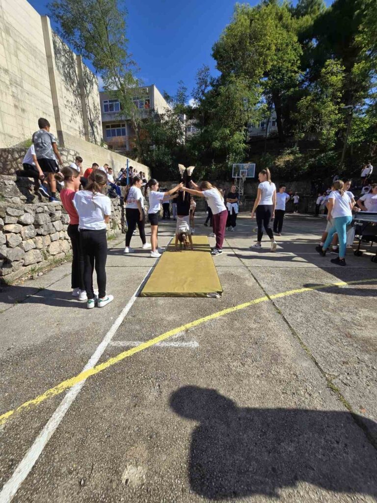 556037270 1345214657606742 2263265645025741002 n