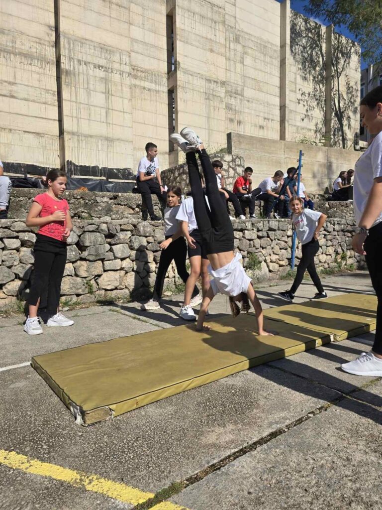 556085010 1345215334273341 1572408246718146911 n