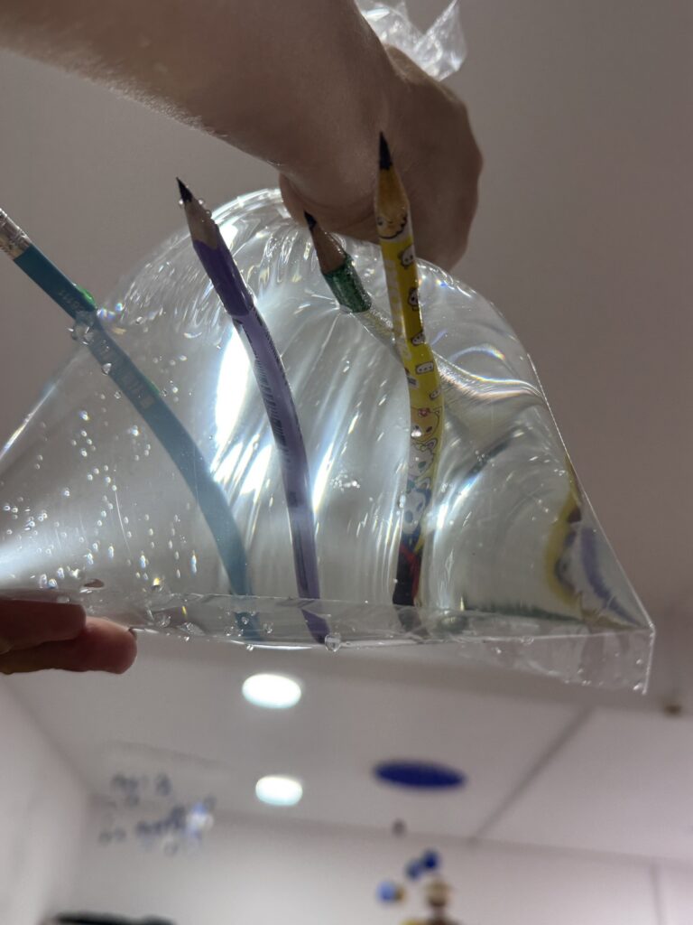 556138868 1347540244040850 6019997403476597822 n