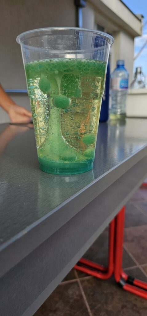 556845603 1347539684040906 838917697727634718 n