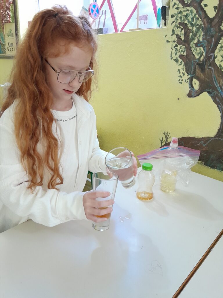 556918756 1347529924041882 8125528432284404220 n