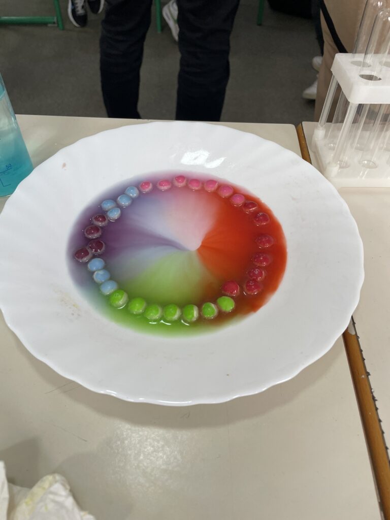 557056746 1347540204040854 8360003374923175834 n