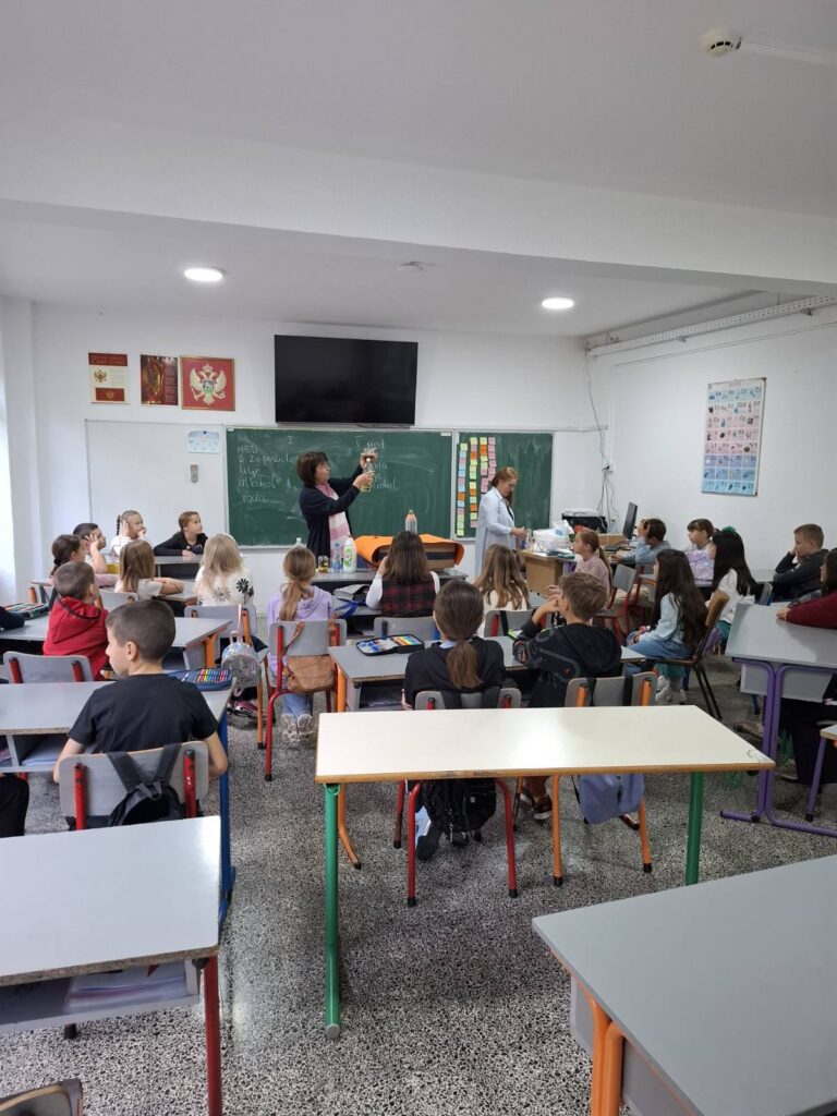 558067312 1347539944040880 7567816888969059173 n