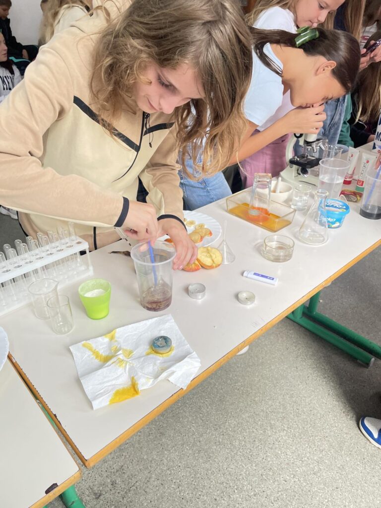 558554024 1347531617375046 9182005375769419328 n