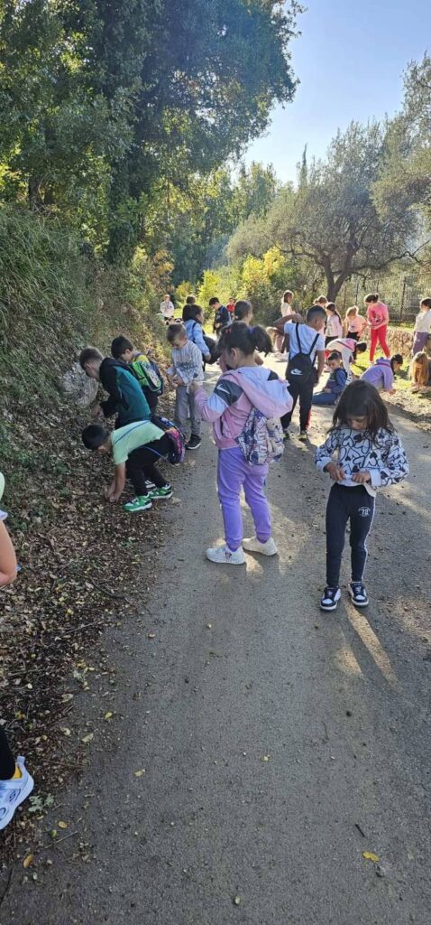 574907067 1382923923835815 8252910564815917347 n