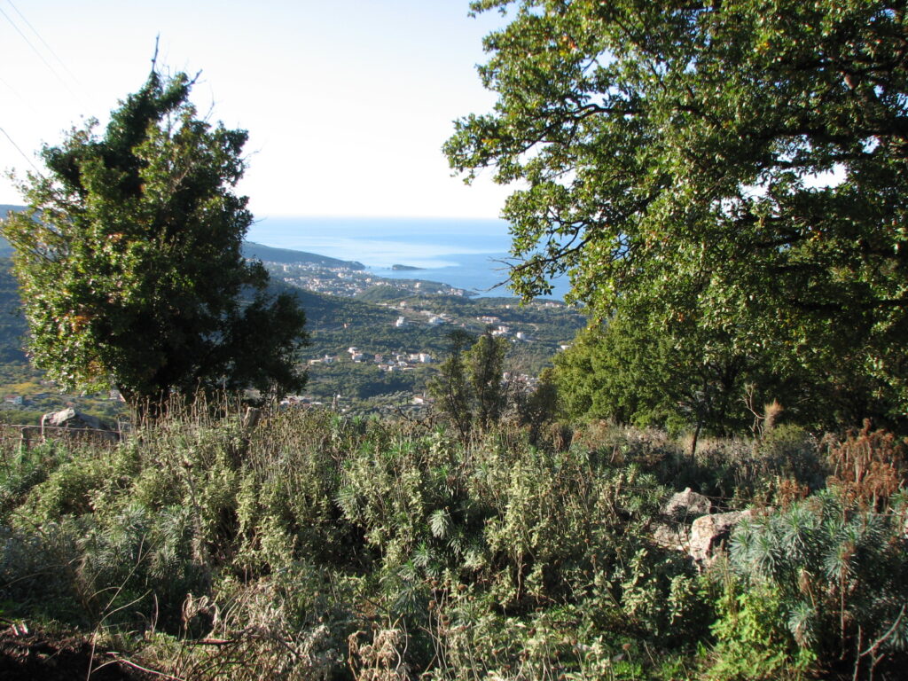 575083217 1382967913831416 6485717850943328795 n