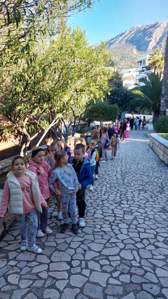 575170117 1382907027170838 8260185594991198129 n